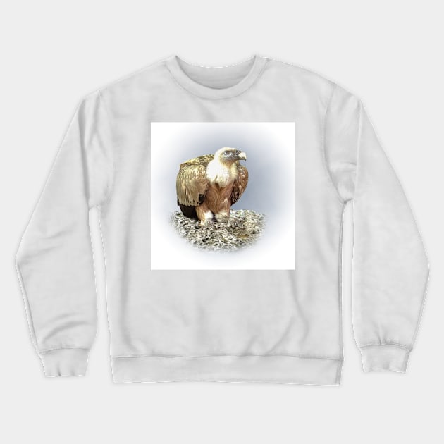 Vulture Crewneck Sweatshirt by Guardi